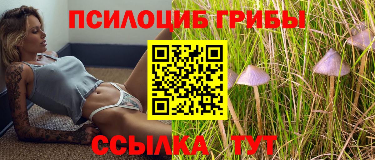 Псилоцибиновые грибы ЛСД  Вход с VPN  Пенза 